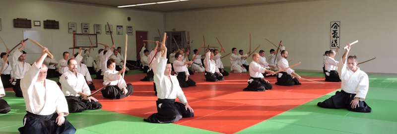 Aikido  2017 7
